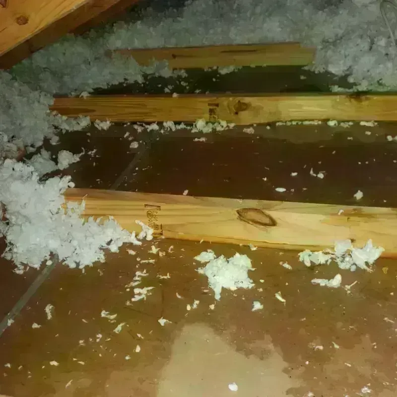 Attic Water Damage in Cullowhee, NC